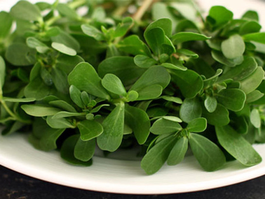 Bel Soğukluğu Bitkisel Tedavisi